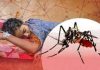 ডেঙ্গু নিয়ে হাসপাতালে আরো ২৪৯ জন