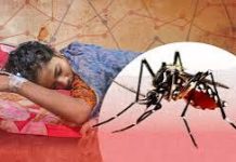 ডেঙ্গু নিয়ে হাসপাতালে আরো ২৪৯ জন