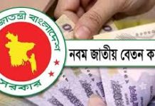 সরকারি চাকরিজীবীদের মূল বেতন ১০০ শতাংশ পর্যন্ত বাড়ানোর সুপারিশ