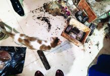 রান্নাঘরে তেলাপোকা, স্টোর রুমে বিড়াল