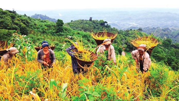 Bandarban Jum Pic-4