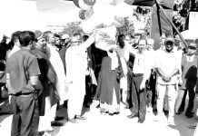 সৈকতে পর্যটন উৎসব, বর্ণিল আয়োজন