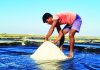 লবণ আমদানির উদ্যোগ