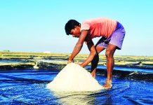 লবণ আমদানির উদ্যোগ