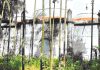 দেয়াঙ পরগণার ঐতিহ্য : মোগল স্থাপত্যিক নিদর্শন ফৌজদার মসজিদ