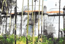 দেয়াঙ পরগণার ঐতিহ্য : মোগল স্থাপত্যিক নিদর্শন ফৌজদার মসজিদ