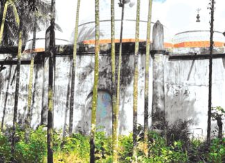 দেয়াঙ পরগণার ঐতিহ্য : মোগল স্থাপত্যিক নিদর্শন ফৌজদার মসজিদ