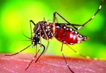 নগরে ডেঙ্গুতে শিশুর মৃত্যু