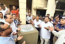 গাছ মানুষের পরম বন্ধু