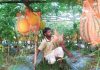 রাঙ্গুনিয়ায় গ্রীষ্মকালীন তরমুজে সম্ভাবনা
