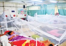 চট্টগ্রামে ডেঙ্গুতে নারীর মৃত্যু