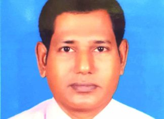 শরৎকালের সাজে প্রাকৃতিক রানি