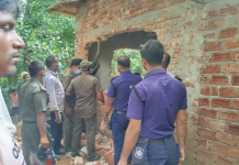 চকরিয়ায় সংরক্ষিত বনভূমির দখলসহ বনজসম্পদ পাচার ঠেকাতে তৎপর বনবিভাগ