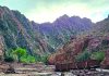 যুক্তরাষ্ট্রের গ্র্যান্ড ক্যানিয়নে হড়পা বানে ১৫ হাইকার নিখোঁজ, উদ্ধার ৬২