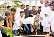 উন্নয়নের নামে পরিবেশের ভারসাম্য নষ্ট করা যাবে না