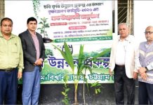 চবি কৃষি উন্নয়ন প্রকল্পের বৃক্ষরোপণ কর্মসূচি