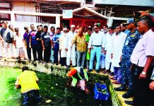 ডেঙ্গু প্রতিরোধে সম্মিলিতভাবে কাজ করতে হবে : মেয়র