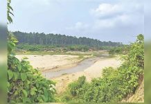 চকরিয়ায় এক মাসে কয়েকশ একর সংরক্ষিত বনভূমি দখল