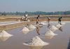 চট্টগ্রামের লবণ শিল্প ও তার বর্তমান অবস্থা