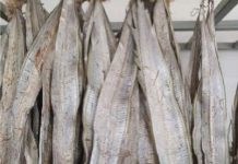 শুটকি আঁরার ঐতিহ্য