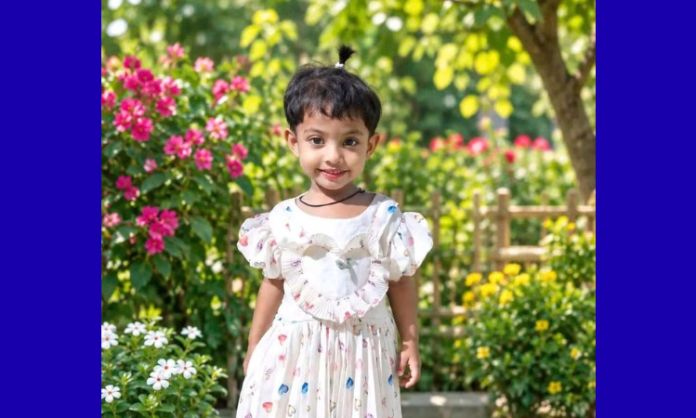 জে. জাহেদ, নিজস্ব প্রতিবেদক