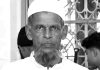 আনোয়ারায় গাছ থেকে পড়ে বৃদ্ধের মৃত্যু