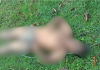 সীতাকুণ্ডে তার চুরি করতে গিয়ে কেমিক্যাল কমপ্লেক্সে বিদ্যুৎস্পৃষ্টে যুবকের মৃ/ত্যু