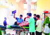 বান্দরবানে কুকুরের কামড়ে শিশুসহ আহত ১৭