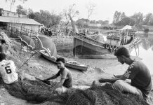২২ দিন বন্ধ ইলিশ শিকার