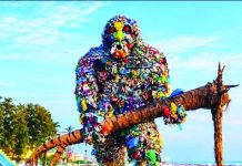 কক্সবাজার সৈকতে আবারও প্লাস্টিক দৈত্য