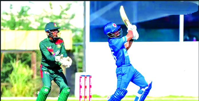Cricket