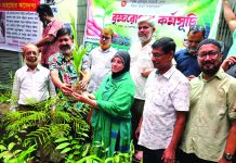 কদম মোবারক ব্যবসায়ী সমবায় সমিতির চারা বিতরণ