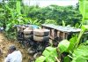 সওজের ডাম্প ট্রাক খাদে,সড়কের উন্নয়ন কাজ বন্ধ