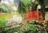 দখল দূষণে বিপন্ন ধলিয়া লেক