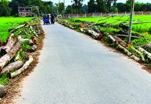 লোহাগাড়ায় সড়ক প্রশস্তকরণে দেড় হাজার গাছ কর্তন, পরিবেশ বিপর্যয়ের শঙ্কা