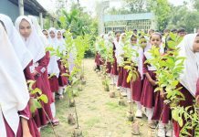 উপকূলজুড়ে সবুজ বেষ্টনী গড়ার প্রত্যয়
