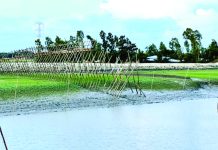 বদলে যাবে যোগাযোগ ও জীবন-জীবিকা