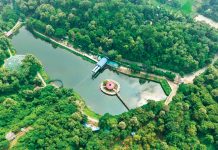 ফিরে পেল প্রাণ, সচল হোক ক্যাবল কার