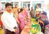 নোয়াগাঁও প্রাথমিক বিদ্যালয়ে বিজ্ঞান মেলা