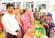 নোয়াগাঁও প্রাথমিক বিদ্যালয়ে বিজ্ঞান মেলা