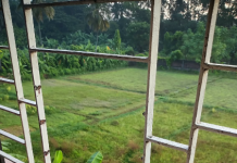 সীতাকুন্ডে বীর মুক্তিযোদ্ধার বাড়িতে ডাকাতি, ৩০ ভরি স্বর্ণ ও নগদ ৭ লক্ষ টাকা লুট