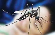 চট্টগ্রামে ডেঙ্গুতে আরও এক নারীর মৃত্যু
