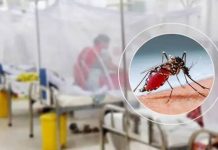 ডেঙ্গুতে দেশে আরও ৬ জনের মৃত্যু