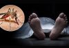 চট্টগ্রামে ডেঙ্গুতে দুইজনের মৃত্যু