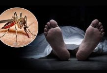 চট্টগ্রামে ডেঙ্গুতে দুইজনের মৃত্যু