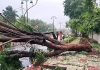 অন্ধ্র উপকূলে ঘূর্ণিঝড় অর্ণবের তাণ্ডব, ৫ মৃত্যু