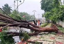 অন্ধ্র উপকূলে ঘূর্ণিঝড় অর্ণবের তাণ্ডব, ৫ মৃত্যু
