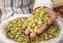 এলাচ নিয়ে খাতুনগঞ্জে স্লিপ বাণিজ্য