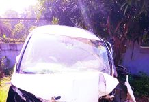 নিয়ন্ত্রণ হারিয়ে বিদ্যুতের পিলারে মাইক্রোবাসের ধাক্কা, মা-মেয়ে নিহত